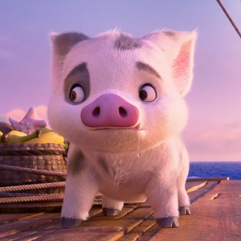 プア｜モアナと伝説の海2｜ディズニー公式