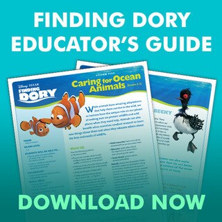 Ver Buscando A Dory Online Gratis