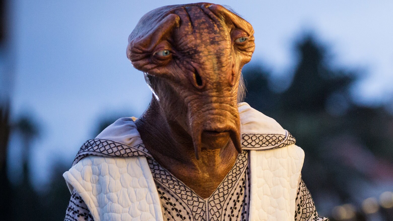 Abednedo