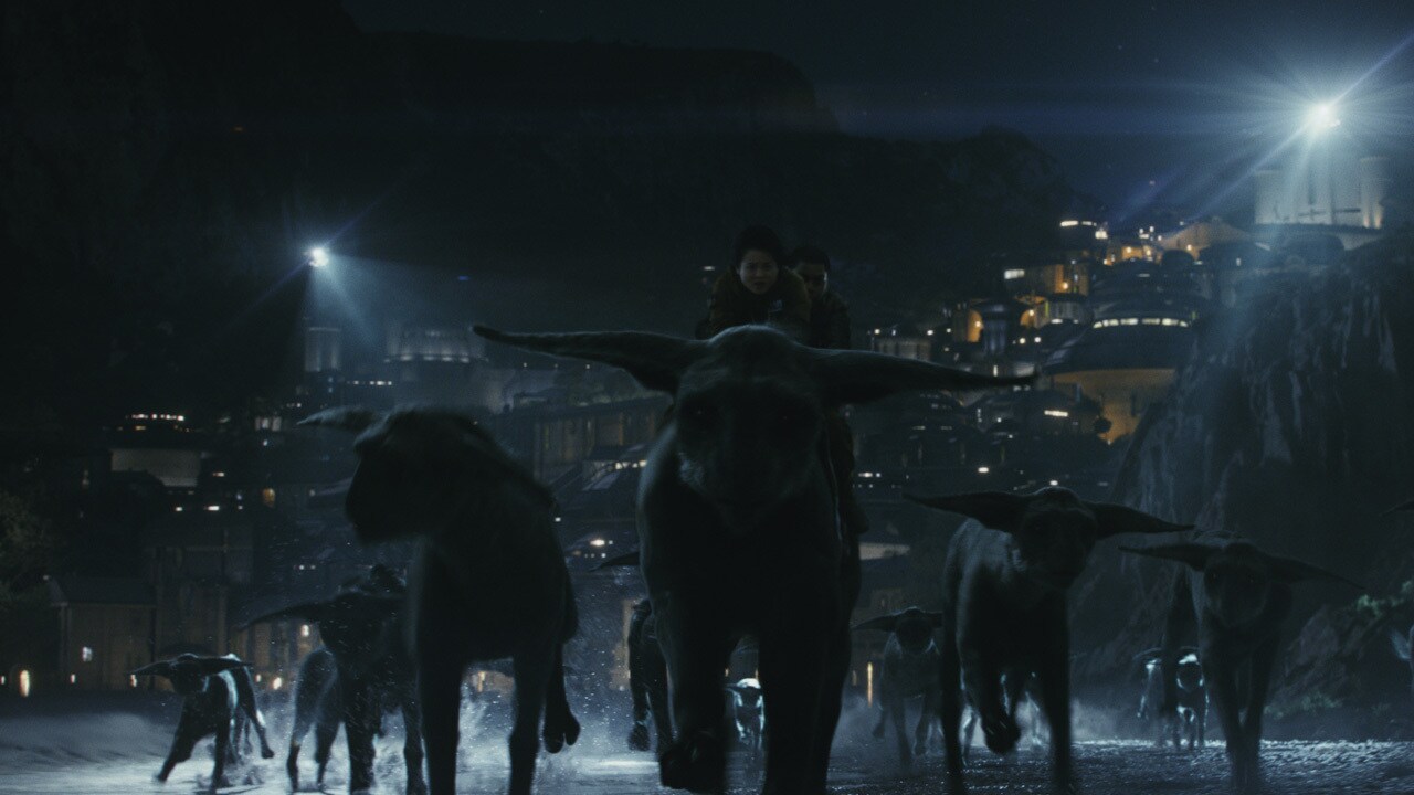 Before Finn and Rose could speak with the Master Codebreaker, they were arrested and thrown in ja...