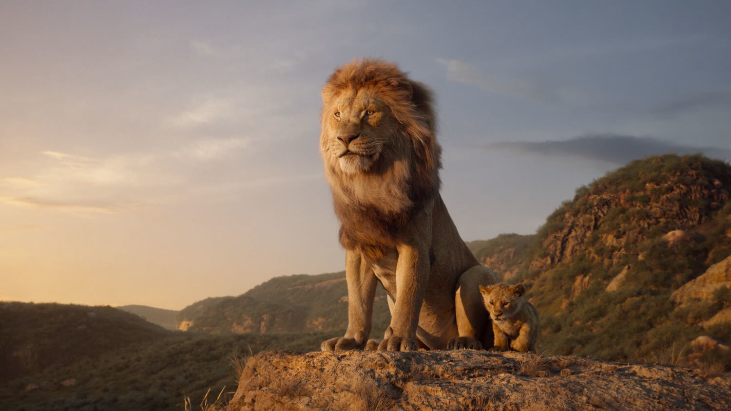 รีวิว the lion king 2019 การ์ตูนดิสนีย์สนุกๆ