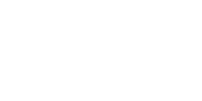 The Lion King