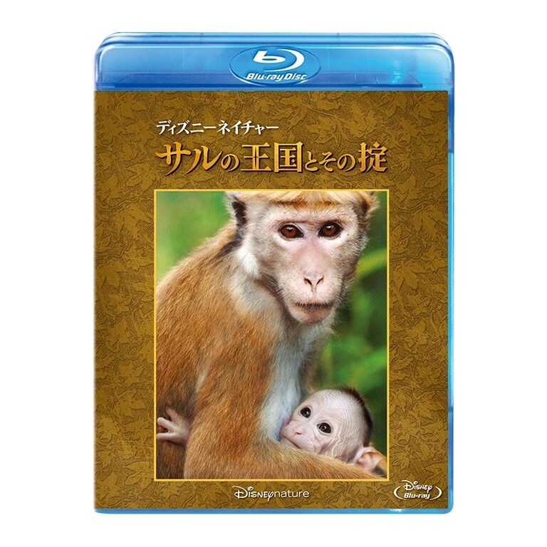 ディズニーネイチャー／サルの王国とその掟｜ブルーレイ・DVD