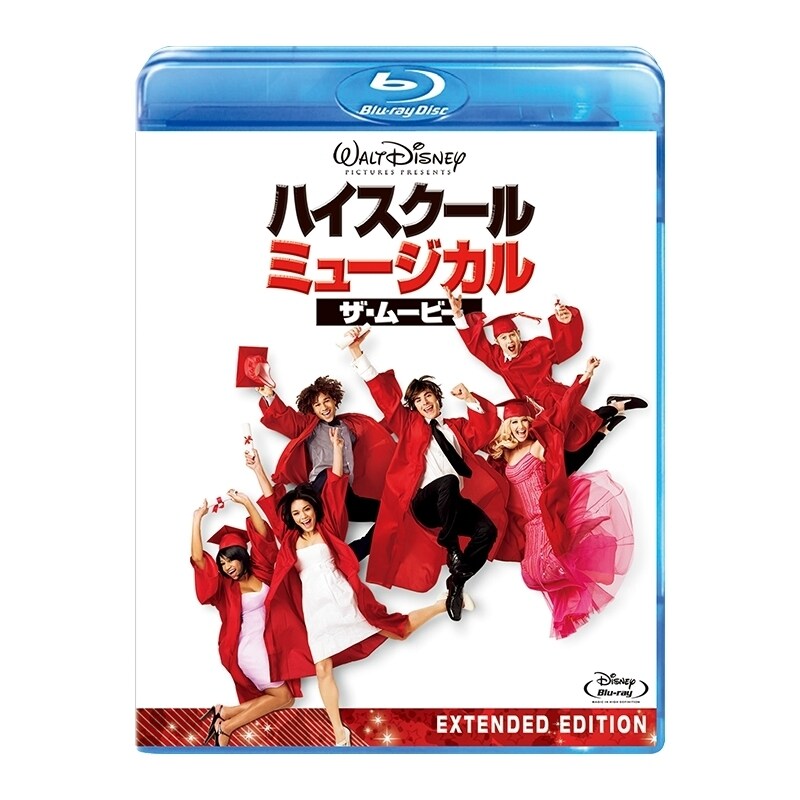 WDW ダッフィー　ハイスクールミュージカル　霜降り product_21830_21697_1_12495_12