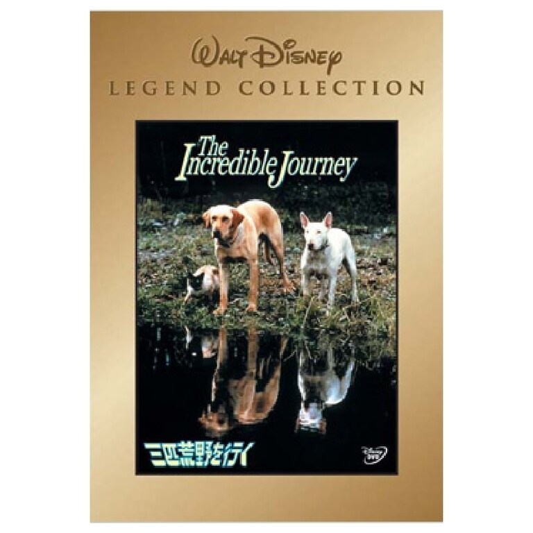 三匹荒野を行く｜ブルーレイ・DVD・デジタル配信｜ディズニー公式