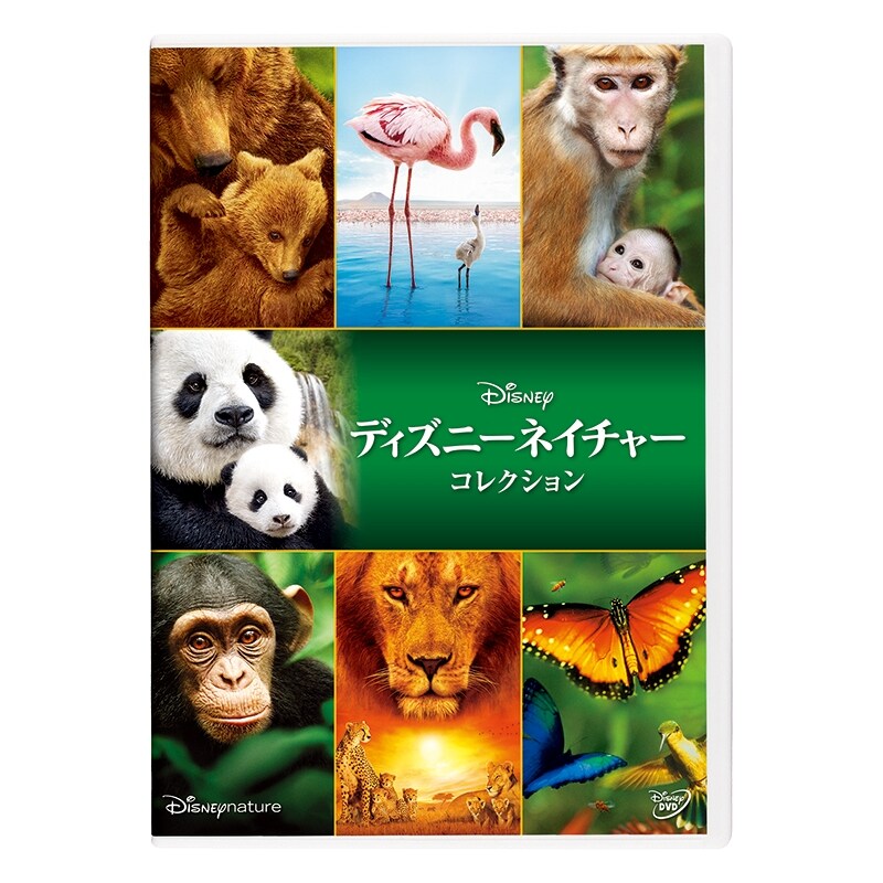 ディズニーネイチャー／サバンナを生きる百獣の王｜ブルーレイ・DVD・デジタル配信｜ディズニー公式