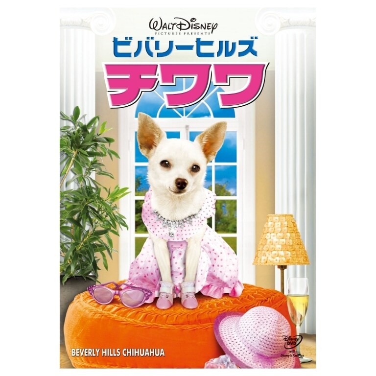 ビバリーヒルズ・チワワ｜ブルーレイ・DVD・デジタル配信｜ディズニー公式