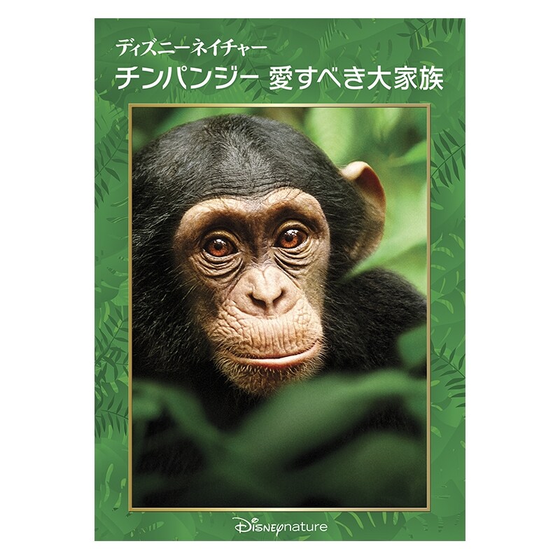 ディズニーネイチャー／チンパンジー 愛すべき大家族｜ブルーレイ・DVD・デジタル配信｜ディズニー公式