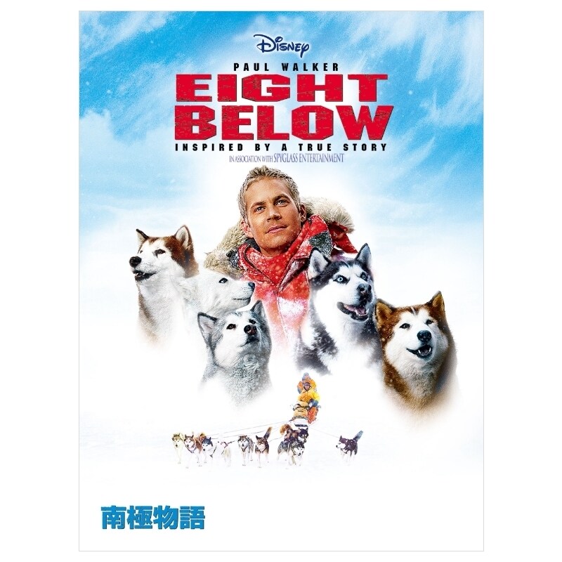 南極物語DVDと当時のパンフレット 南極物語 映画パンフレット 南極物語DVDと当時のパンフレット 南極物語