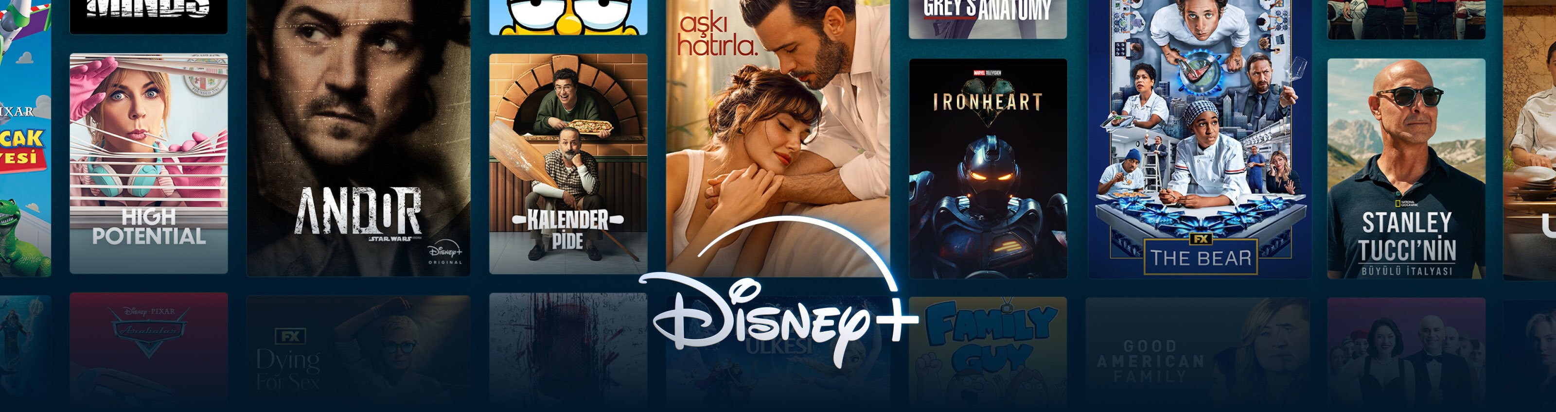 Disney+’ta sunulan geniş içerik arşivini gösteren alanlar