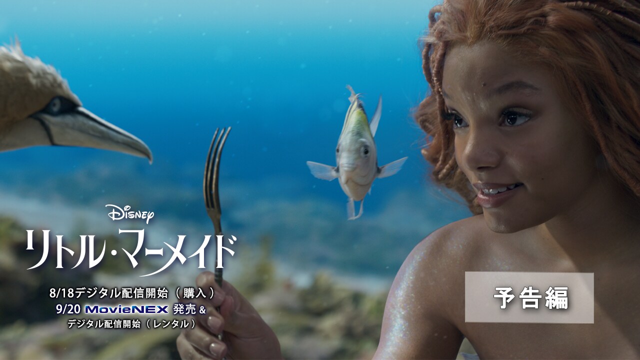 予約・購入｜ リトル・マーメイド｜ディズニー公式