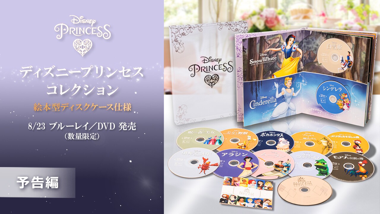 商品ラインナップ｜ディズニープリンセス コレクション 絵本型