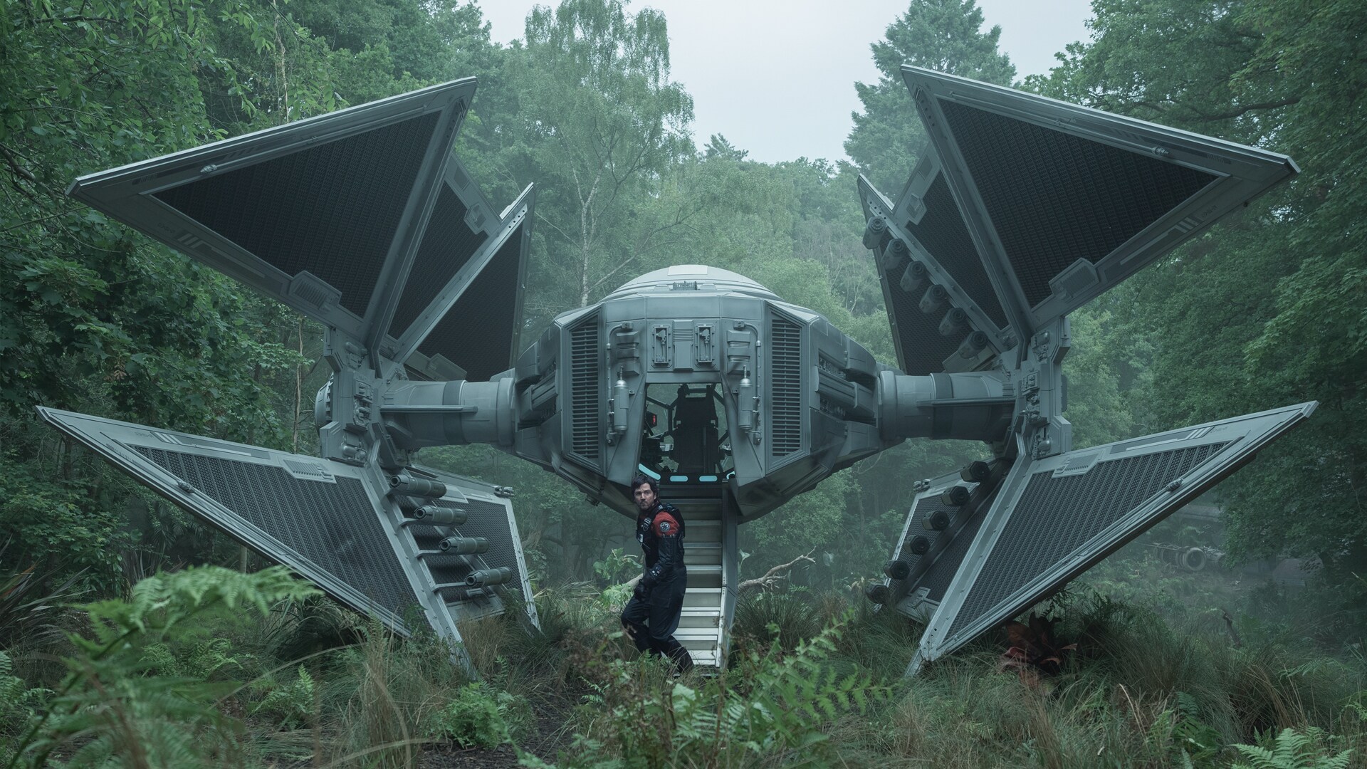 The jungle clearing where Cassian encounters the Maya Pei rebels was a section of Longcross Studios test track covered in plants by the Andor Greens team.