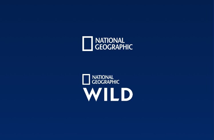 Nat Geo Wild — Steemit