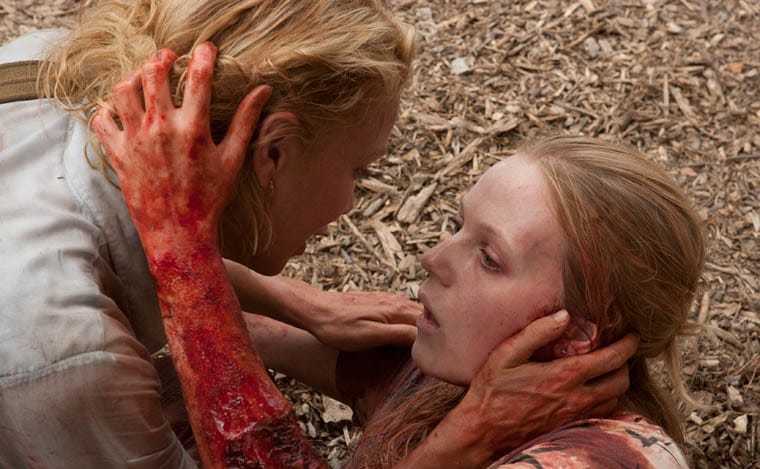 The Walking Dead The Walking Dead