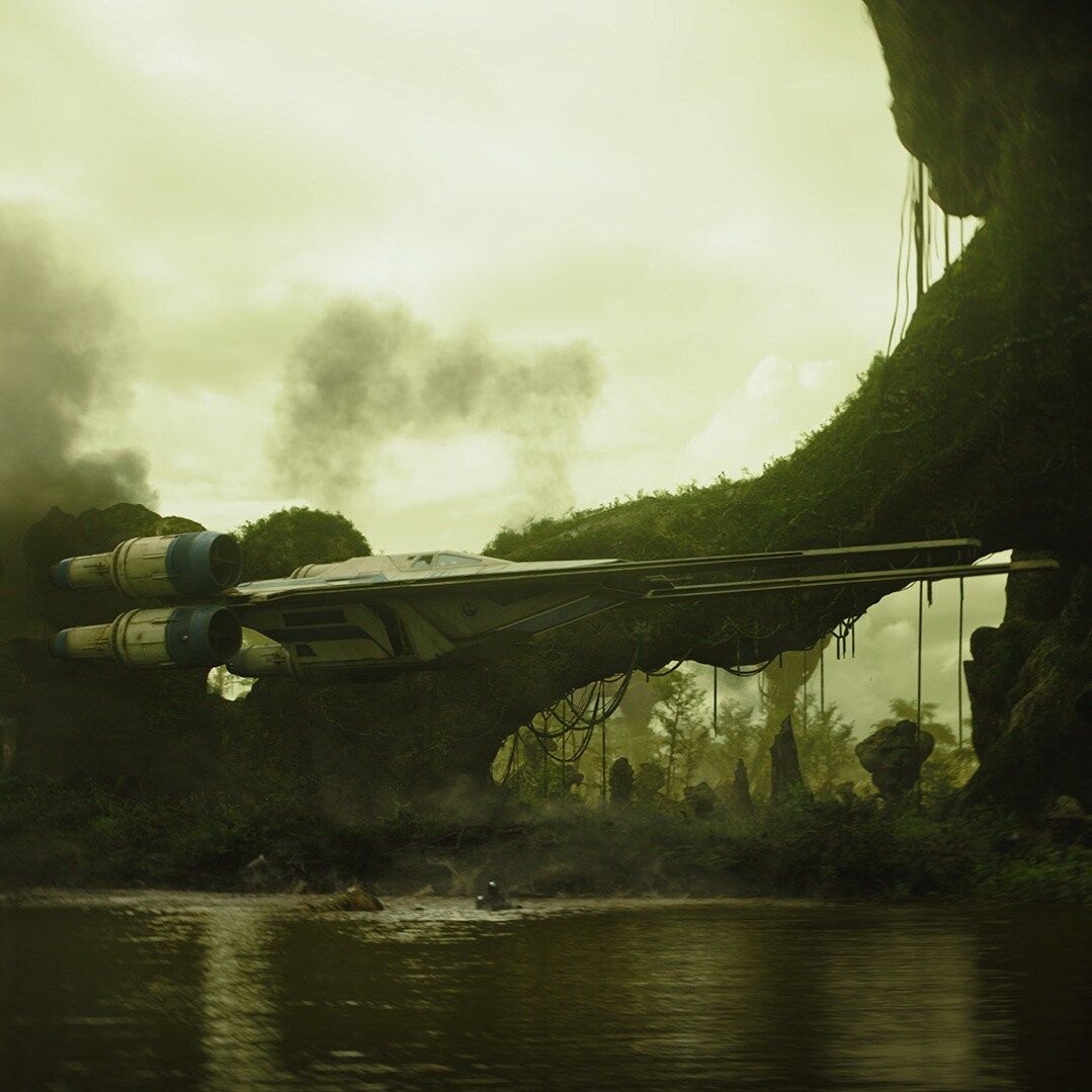 U-wing