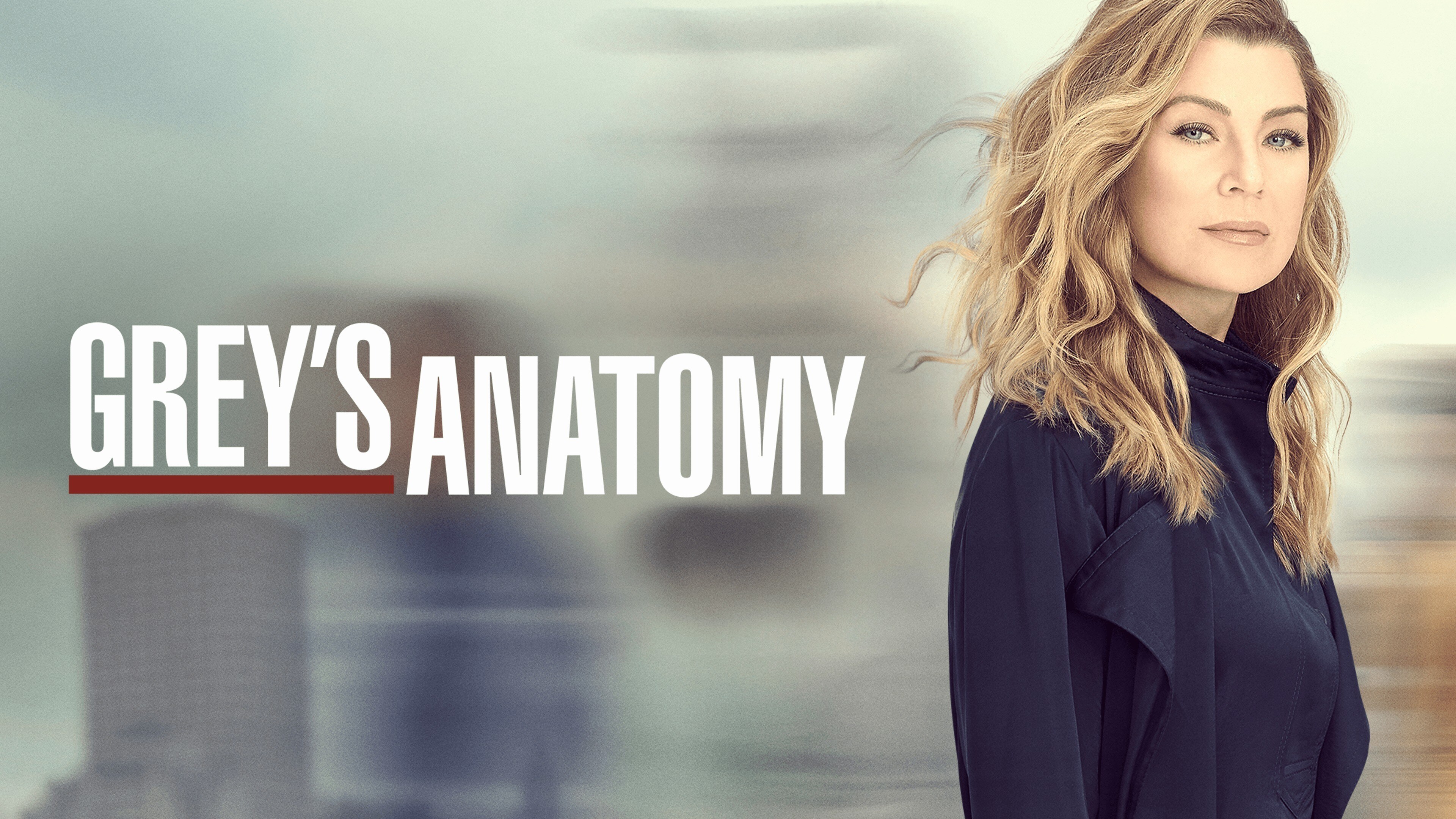 Grey's Anatomy - Stagione 19