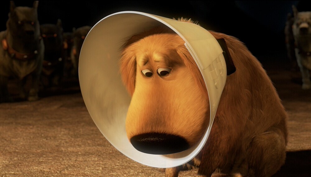 Dug wearing a cone in the movie "Up"