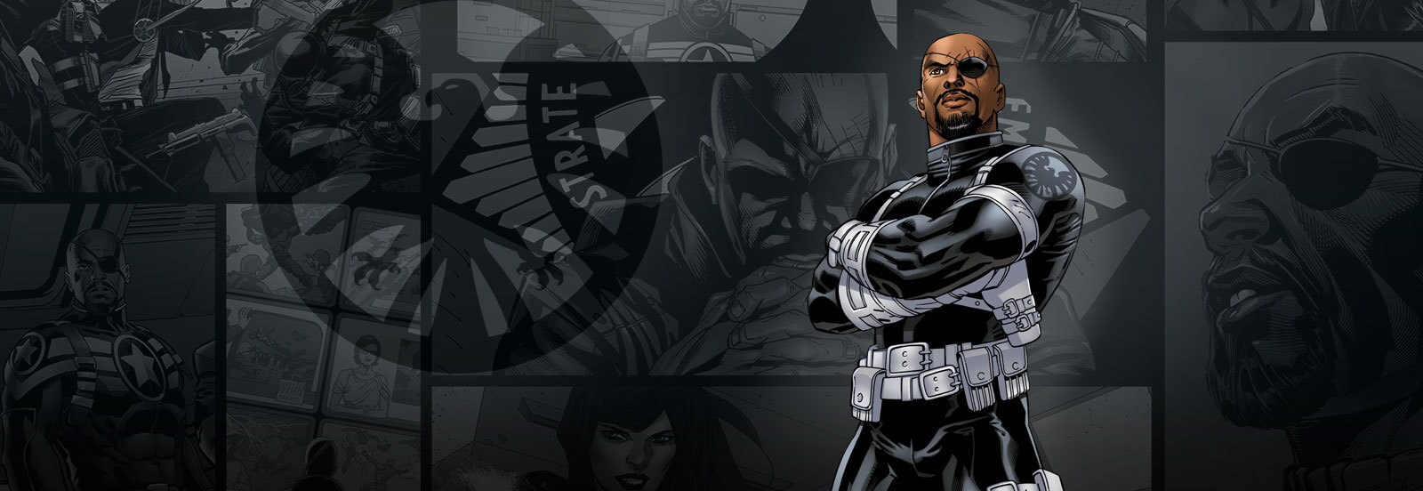 Image result for pictures of black Nick Fury