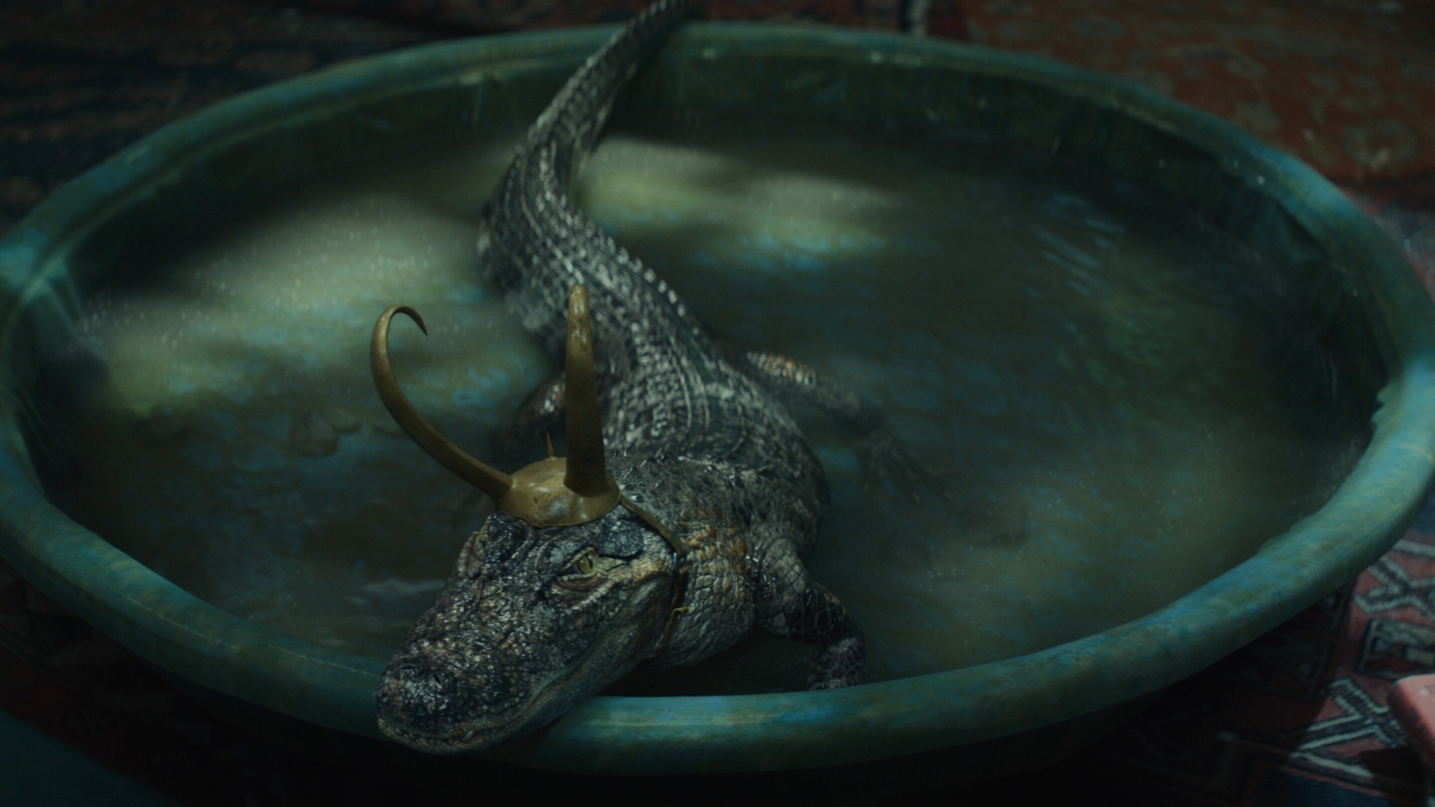 Alligator Loki in Marvel Studios' LOKI, exclusively on Disney+. Photo courtesy of Marvel Studios. ©Marvel Studios 2021. All Rights Reserved.