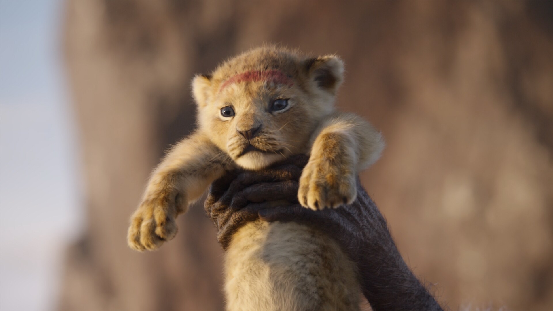 The Lion King (2019)  Disney Movies