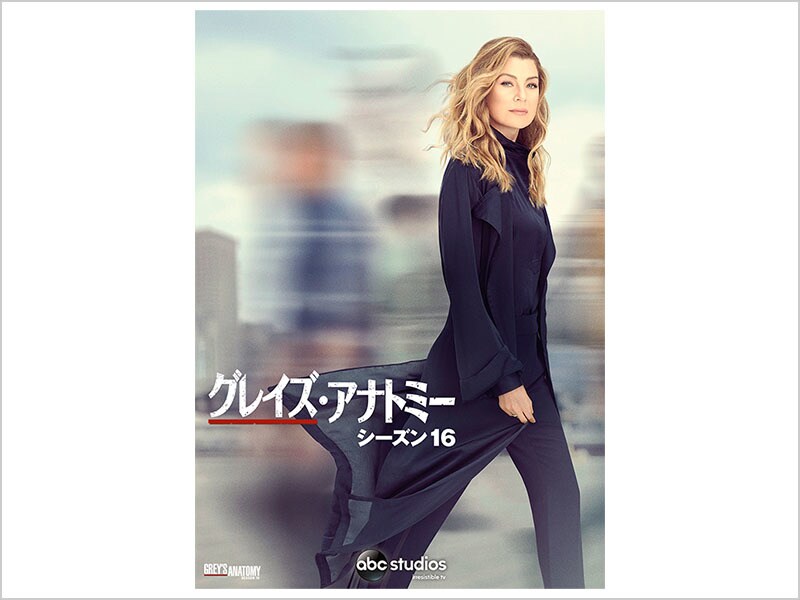 グレイズ・アナトミー DVD 16巻セット Amazon.co.jp: グレイズ・アナトミー シーズン16 コンパクト BOX