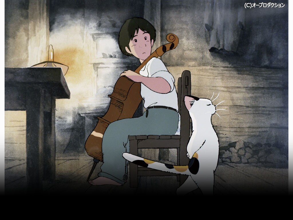 wdsjp_cello_gauche_marquee_102