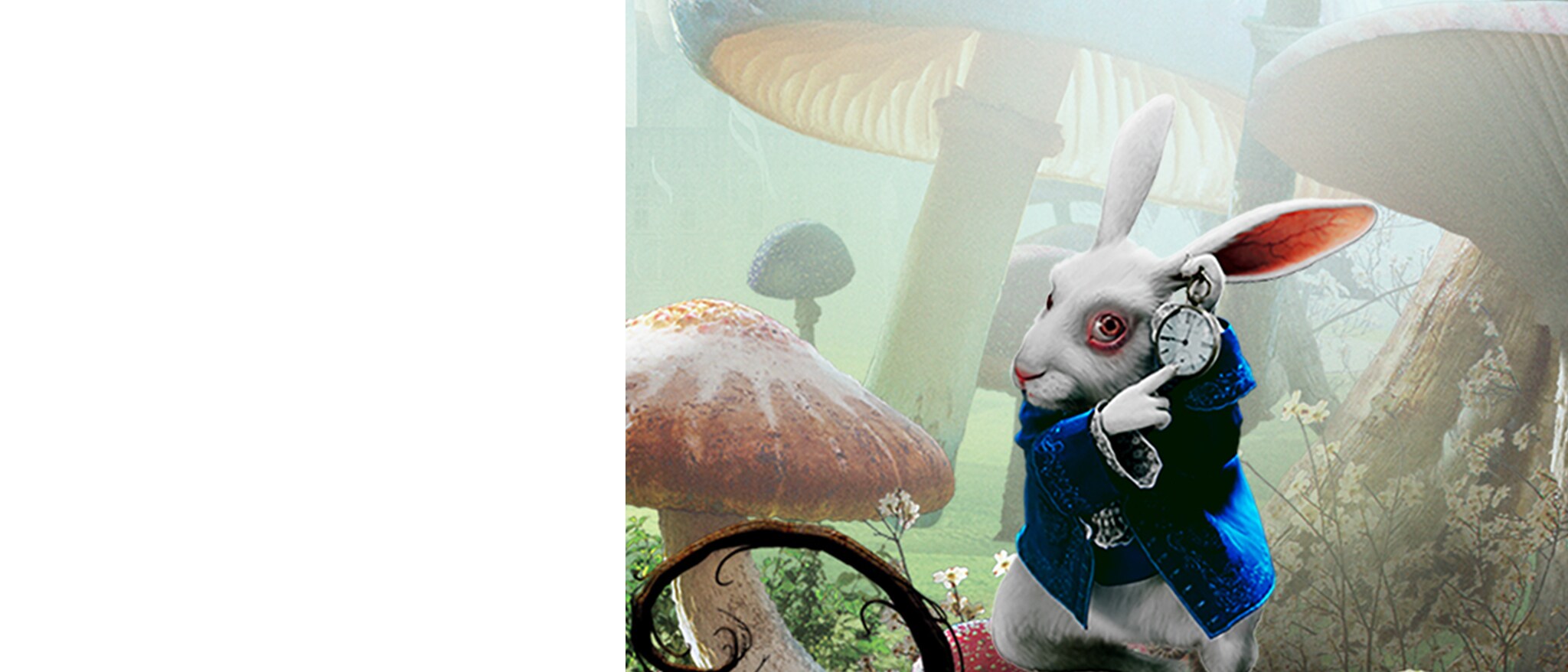 Disney - 【激レア!】ディズニー アリスインワンダーランド 白