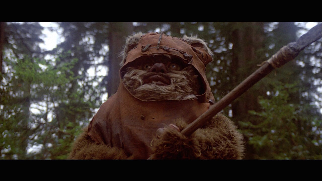 Wicket grew up in Bright Tree Village, exploring the forest moon of Endor and learning about the ...