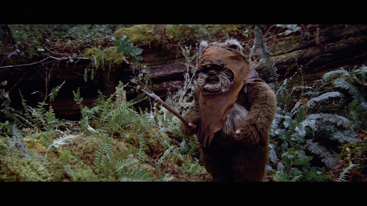 Scout troopers returned and captured Leia, but Wicket intervened, distracting the Imperials with ...