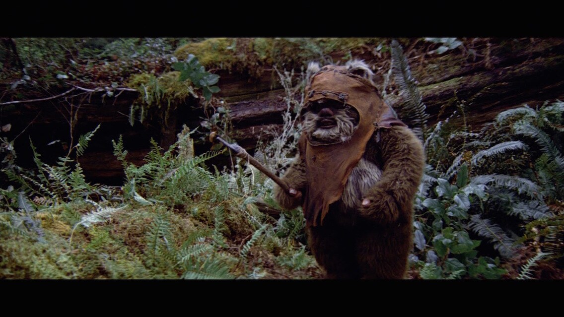 Wicket W. Warrick Biography Gallery | StarWars.com