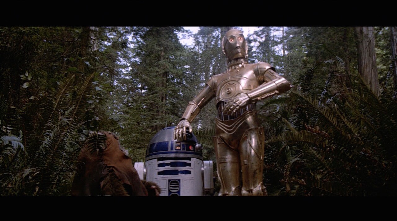 The rebels told Wicket and the Ewoks the story of their fight against the Empire, and the forest ...