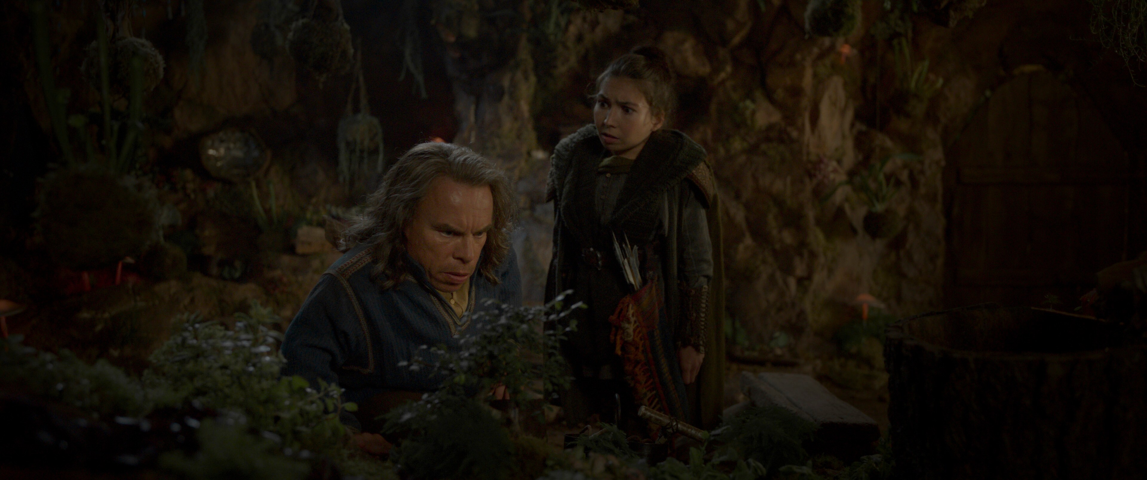 Willow Willow
