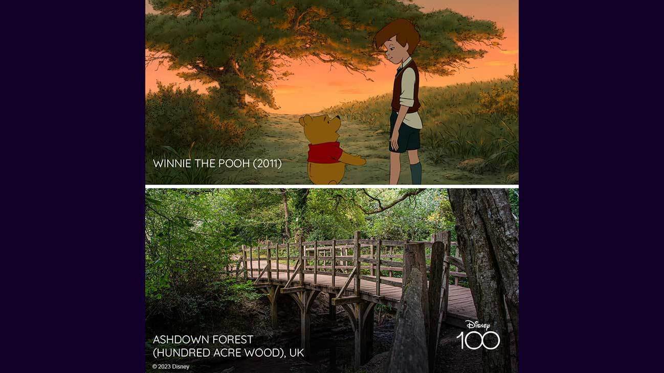 Scene from Winnie the Pooh (2011) and image of Ashdown Forest (Hundred Acre Wood) UK