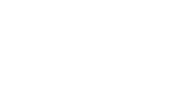 Winnie the Pooh (2011)