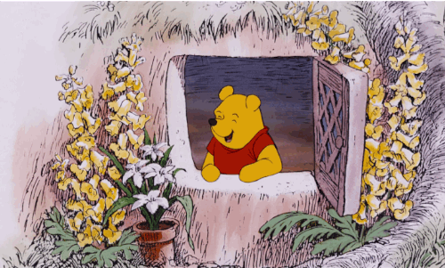 Winnie the Pooh looking out of a window.