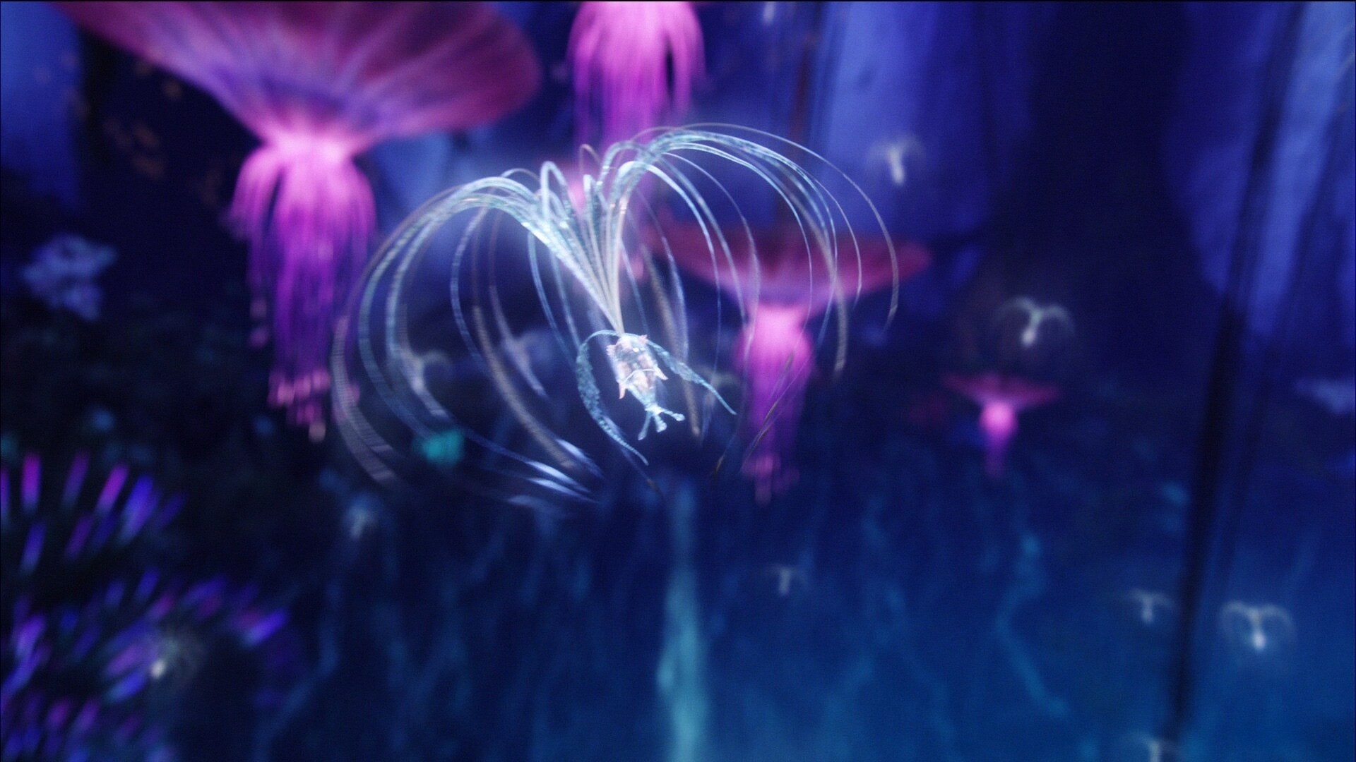 A tiny, illuminated, creature floating through the air, surrounding by other bioluminescent creatures and plants in the nighttime Pandoran forest.