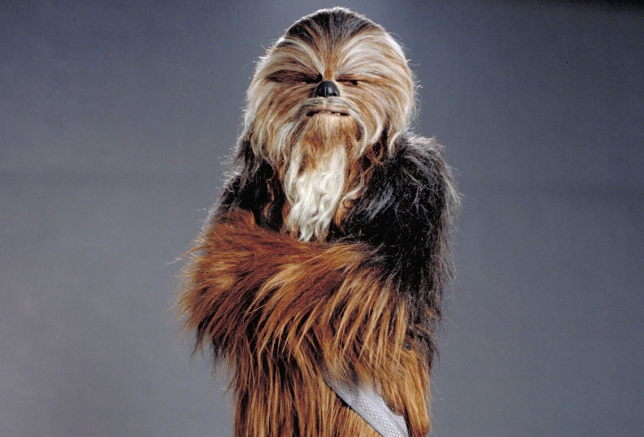 Many in the galaxy saw Wookiees as little more than shaggy brutes to be avoided, dismissing them ...