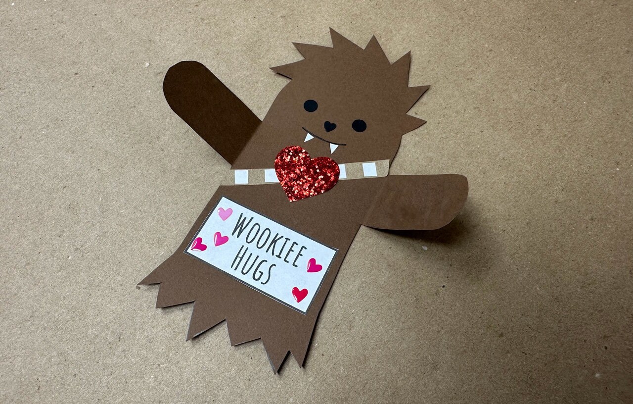 Finished DIY Wookiee Hugs valentine