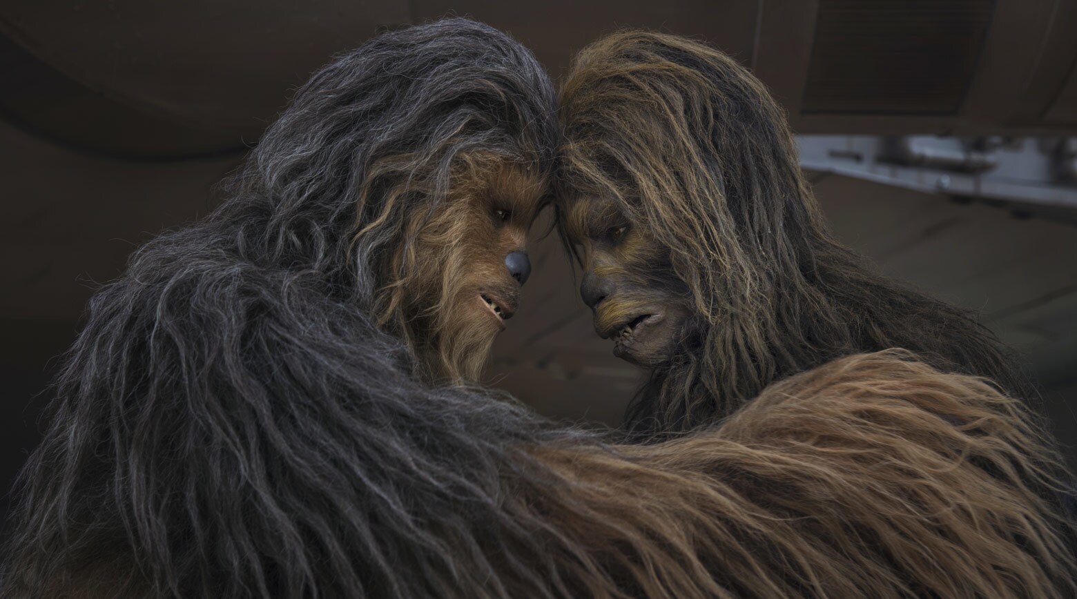 Wookiee | StarWars.com