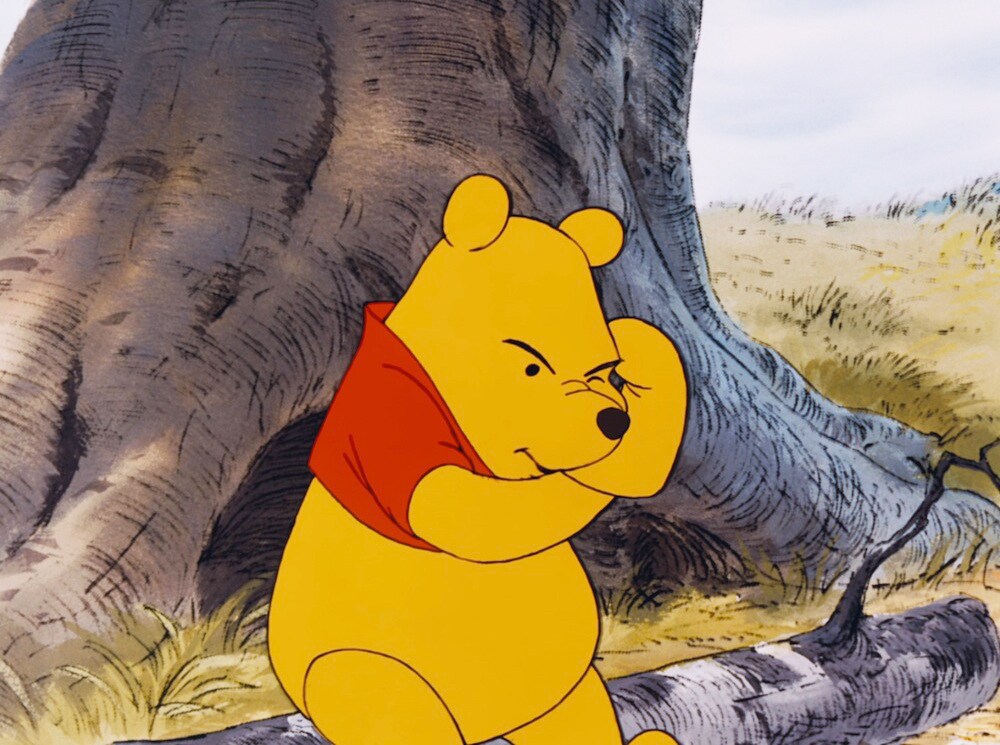 Pooh from "Winnie the Pooh"