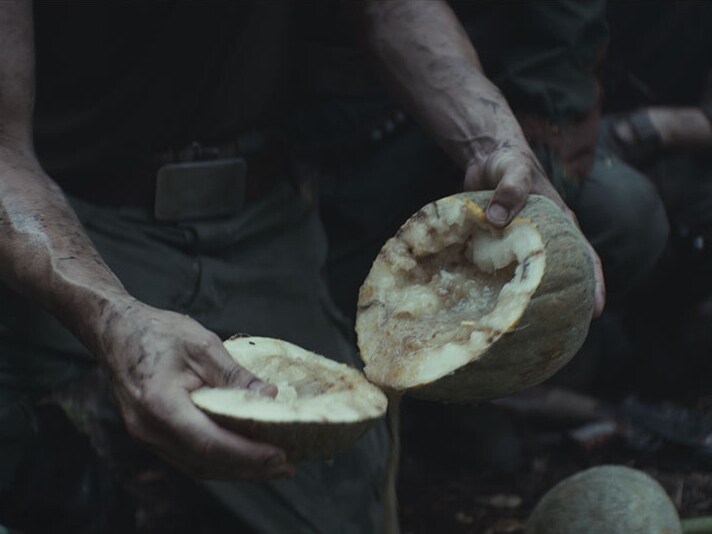 Yavin 4 melon