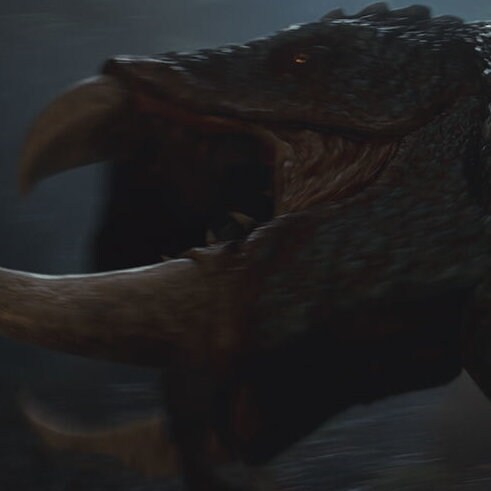Andor 202 - "Animals got 'em."