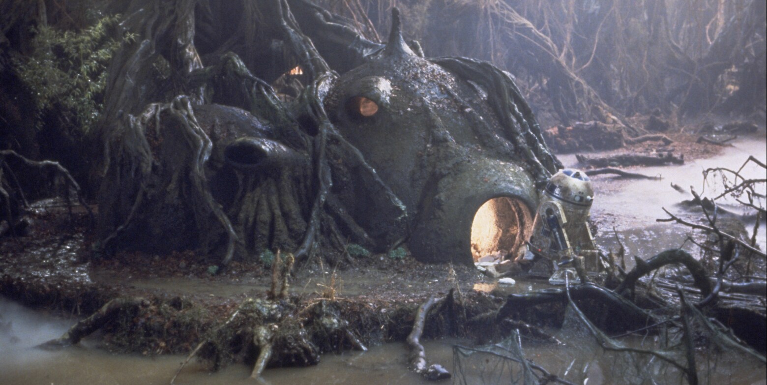 After Darth Sidious defeated the Jedi, Yoda retreated to the remote swamp p...