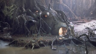 Yoda's Hut