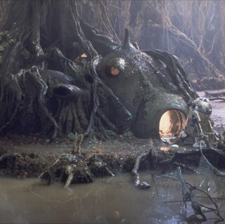 Yoda's Hut