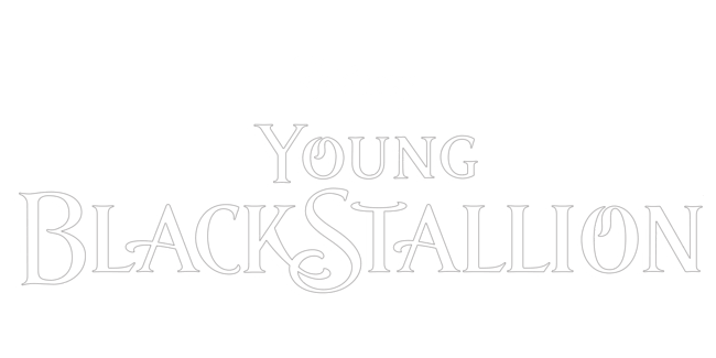 The Young Black Stallion