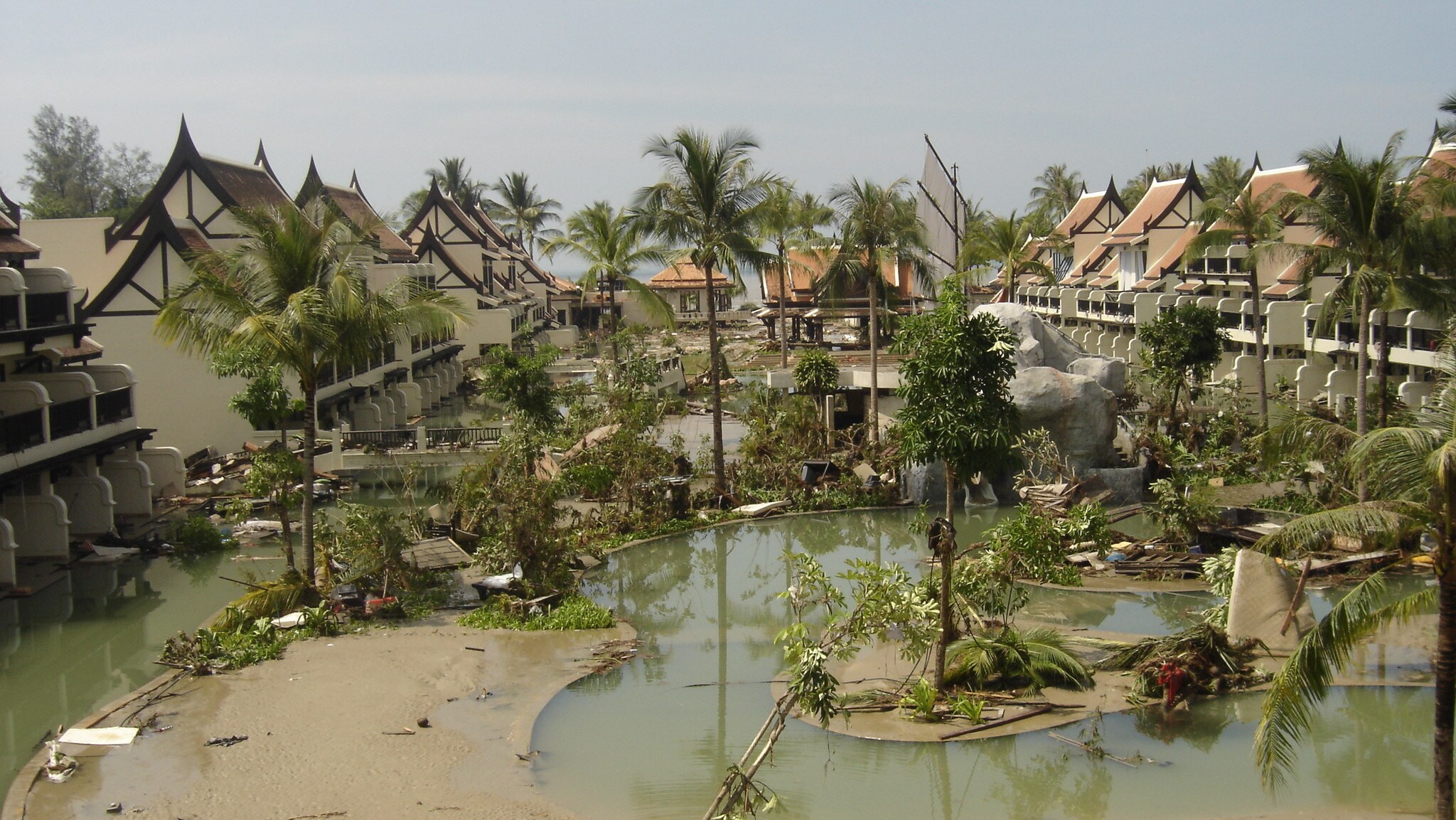 “Tsunami: Wyścig z czasem” w National Geographic. Przejmująca historia jednej z największych katastrof naturalnych XXI wieku