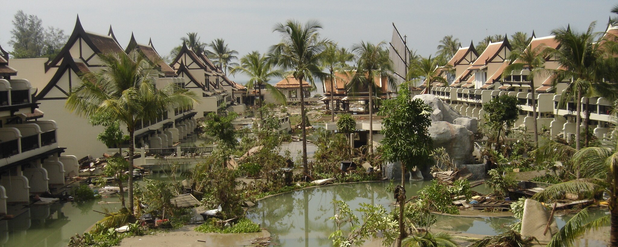 Tsunami: Wyścig z czasem” w National Geographic. Przejmująca